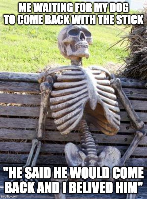 Waiting Skeleton | ME WAITING FOR MY DOG TO COME BACK WITH THE STICK; "HE SAID HE WOULD COME BACK AND I BELIVED HIM" | image tagged in memes,waiting skeleton | made w/ Imgflip meme maker