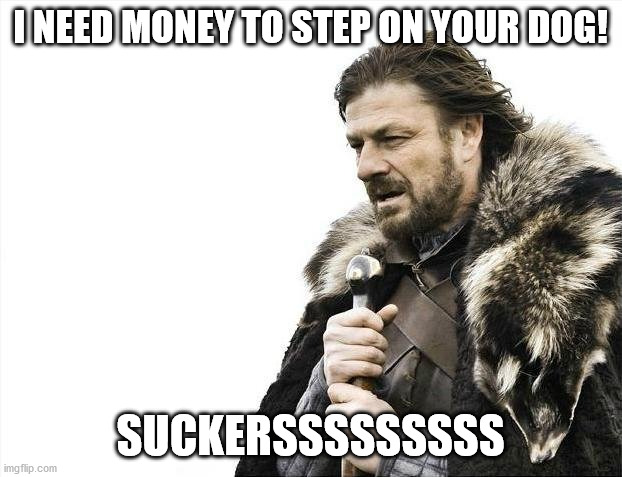 I LIKE MEMES | I NEED MONEY TO STEP ON YOUR DOG! SUCKERSSSSSSSSS | image tagged in memes,brace yourselves x is coming | made w/ Imgflip meme maker
