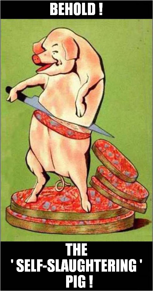 Weird French Vintage Ad | BEHOLD ! THE
' SELF-SLAUGHTERING '
  PIG ! | image tagged in vintage ads,pig,slaughter,french | made w/ Imgflip meme maker