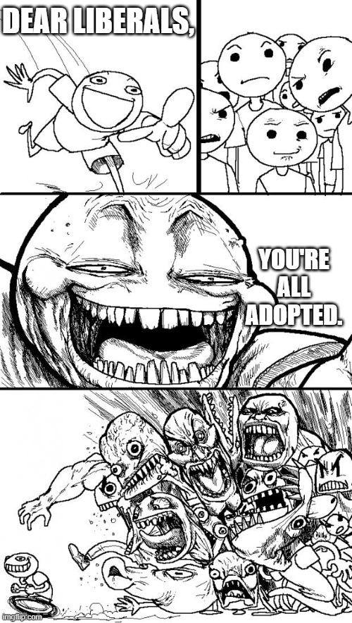 Adopted. | DEAR LIBERALS, YOU'RE ALL ADOPTED. | image tagged in memes,hey internet | made w/ Imgflip meme maker