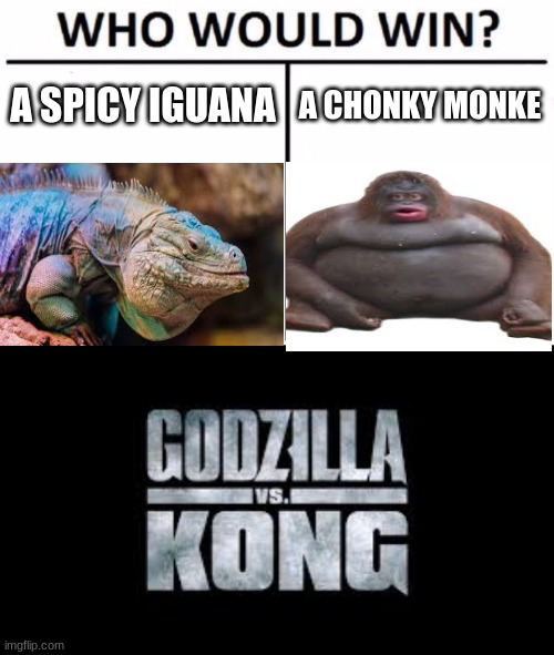 Godzilla vs kong | A SPICY IGUANA; A CHONKY MONKE | image tagged in memes,who would win,godzilla vs kong | made w/ Imgflip meme maker