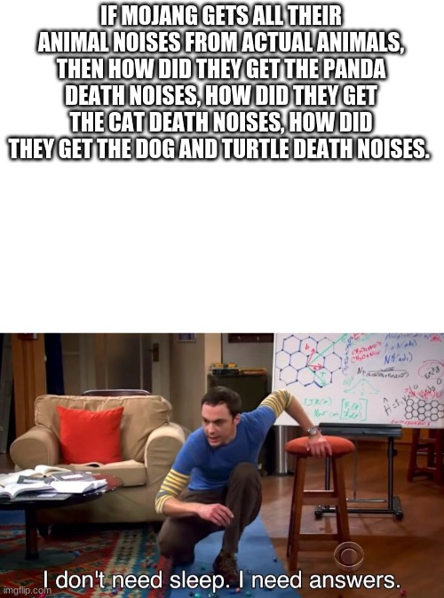 wait one gosh darn fricking minute | IF MOJANG GETS ALL THEIR ANIMAL NOISES FROM ACTUAL ANIMALS, THEN HOW DID THEY GET THE PANDA DEATH NOISES, HOW DID THEY GET THE CAT DEATH NOISES, HOW DID THEY GET THE DOG AND TURTLE DEATH NOISES. | image tagged in blank white template,i don't need sleep i need answers | made w/ Imgflip meme maker