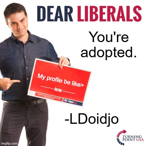 Yep, my channel its just "you're adopted." oh and also, you're adopted. | You're adopted. My profile be like>; -LDoidjo | image tagged in dear liberals | made w/ Imgflip meme maker