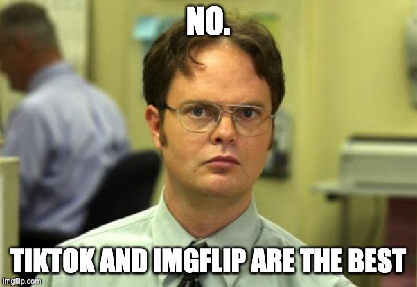 Dwight Schrute Meme | NO. TIKTOK AND IMGFLIP ARE THE BEST | image tagged in memes,dwight schrute | made w/ Imgflip meme maker