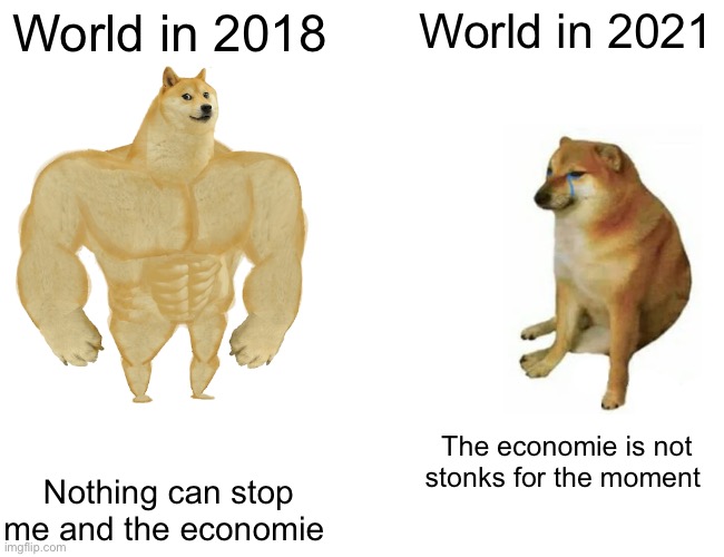 No stonks World | World in 2018; World in 2021; The economie is not stonks for the moment; Nothing can stop me and the economie | image tagged in memes,buff doge vs cheems,economy,world | made w/ Imgflip meme maker