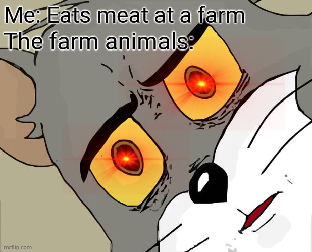 They will kill you there | Me: Eats meat at a farm; The farm animals: | image tagged in memes,unsettled tom,farm,do not eat nuggets at a farm,or,die | made w/ Imgflip meme maker