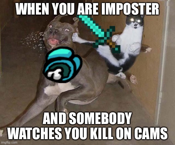 Cat and Dog | WHEN YOU ARE IMPOSTER; AND SOMEBODY WATCHES YOU KILL ON CAMS | image tagged in cat and dog | made w/ Imgflip meme maker