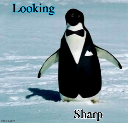 Looking Sharp | made w/ Imgflip meme maker