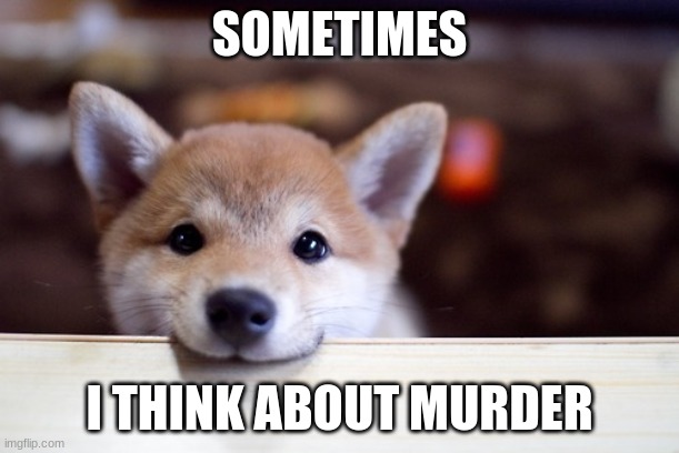 doggie | SOMETIMES; I THINK ABOUT MURDER | image tagged in cute dog | made w/ Imgflip meme maker