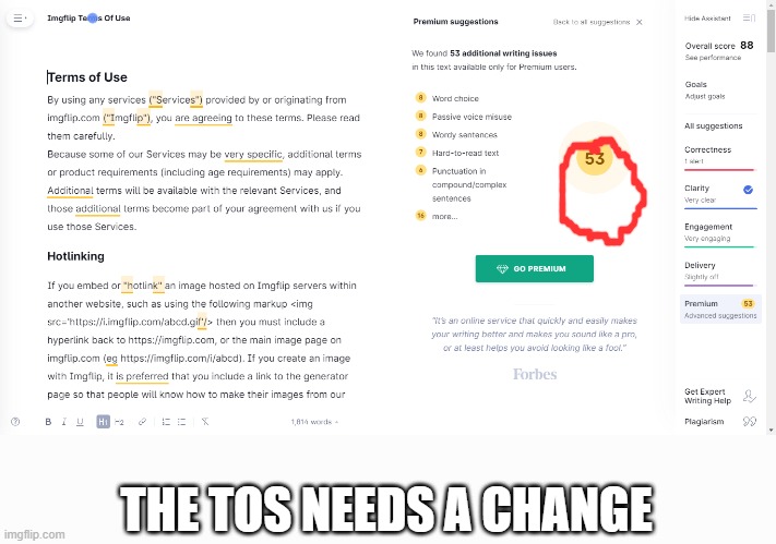 the tos needs a change | THE TOS NEEDS A CHANGE | image tagged in bro | made w/ Imgflip meme maker