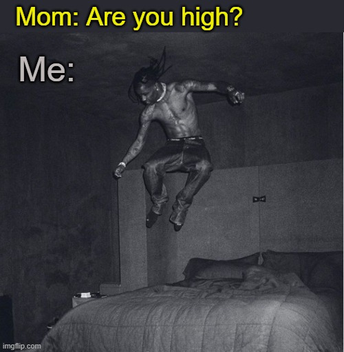 Mom: Are you high? Me: | made w/ Imgflip meme maker