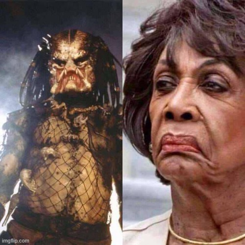 I can see the Resemblance | image tagged in maxine waters,california,predator | made w/ Imgflip meme maker