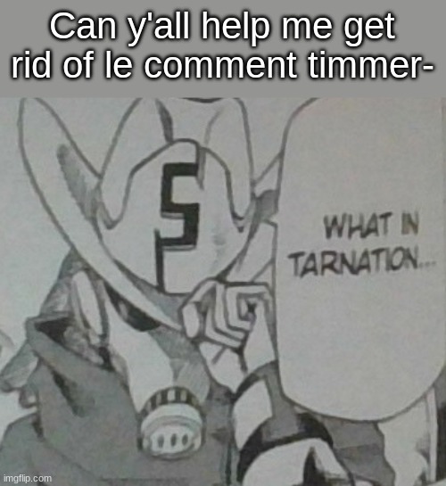 What in tarnation... | Can y'all help me get rid of le comment timmer- | image tagged in what in tarnation | made w/ Imgflip meme maker