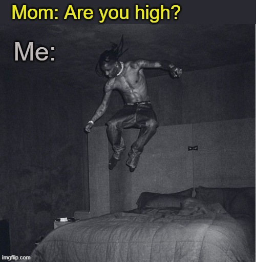 Too damn high, the highest. | image tagged in travis scott,rap,music,highest in the room | made w/ Imgflip meme maker