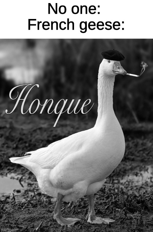 No one: 
French geese: | image tagged in memes,funny,goose | made w/ Imgflip meme maker