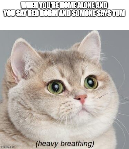 YUM | WHEN YOU'RE HOME ALONE AND YOU SAY RED ROBIN AND SOMONE SAYS YUM | image tagged in memes,heavy breathing cat | made w/ Imgflip meme maker