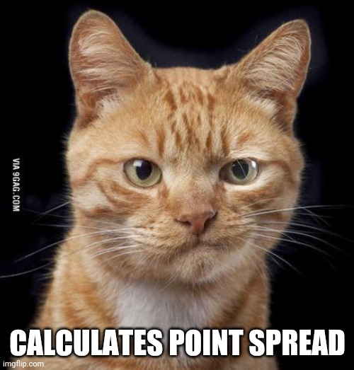 Doubting Cat | CALCULATES POINT SPREAD | image tagged in doubting cat | made w/ Imgflip meme maker