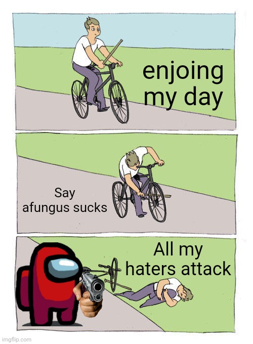 does ANYBODY agree with me? | enjoing my day; Say afungus sucks; All my haters attack | image tagged in memes,bike fall | made w/ Imgflip meme maker
