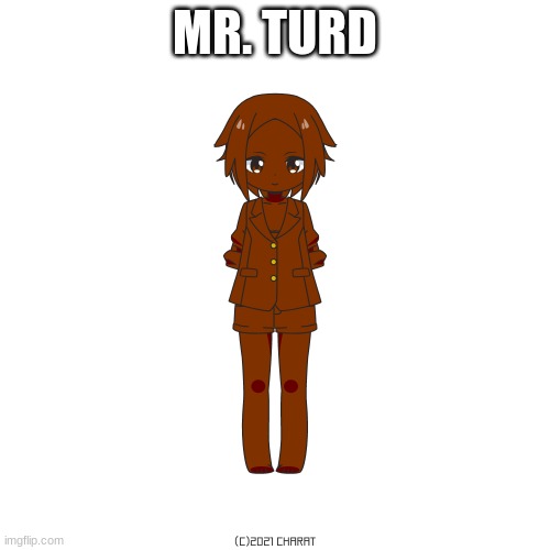 mr. turd | MR. TURD | image tagged in dank memes,poop,fart,weird | made w/ Imgflip meme maker