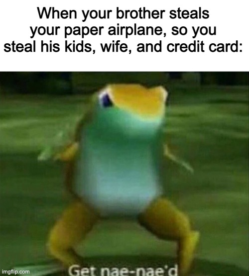 Get nae-nae'd | When your brother steals your paper airplane, so you steal his kids, wife, and credit card: | image tagged in get nae-nae'd | made w/ Imgflip meme maker