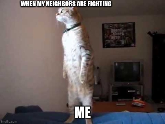 Standing cat | WHEN MY NEIGHBORS ARE FIGHTING; ME | image tagged in standing cat | made w/ Imgflip meme maker