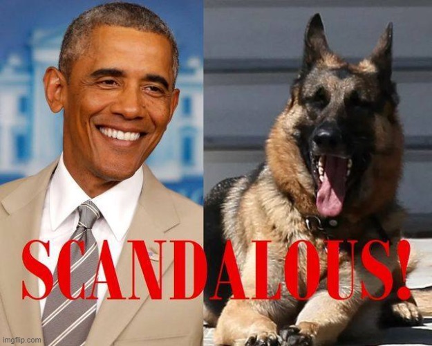 Recent Democratic Administration scandals: Obama wore a tan suit, Biden's dog isn't cute enough | image tagged in obama scandalous,repost,scandal,dogs,biden,barack obama | made w/ Imgflip meme maker