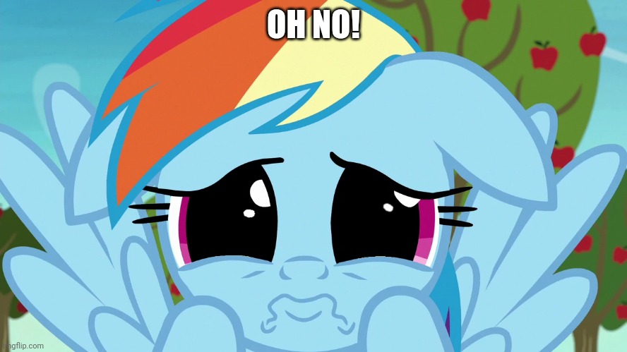 Aww, Rainbow Dash! (MLP) | OH NO! | image tagged in aww rainbow dash mlp | made w/ Imgflip meme maker