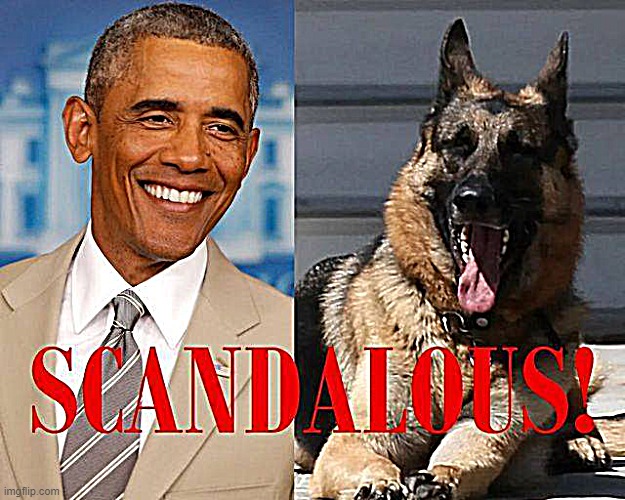 Recent Democratic Administration scandals: Obama wore a tan suit, Biden's dog isn't cute enough | image tagged in obama scandalous,repost | made w/ Imgflip meme maker
