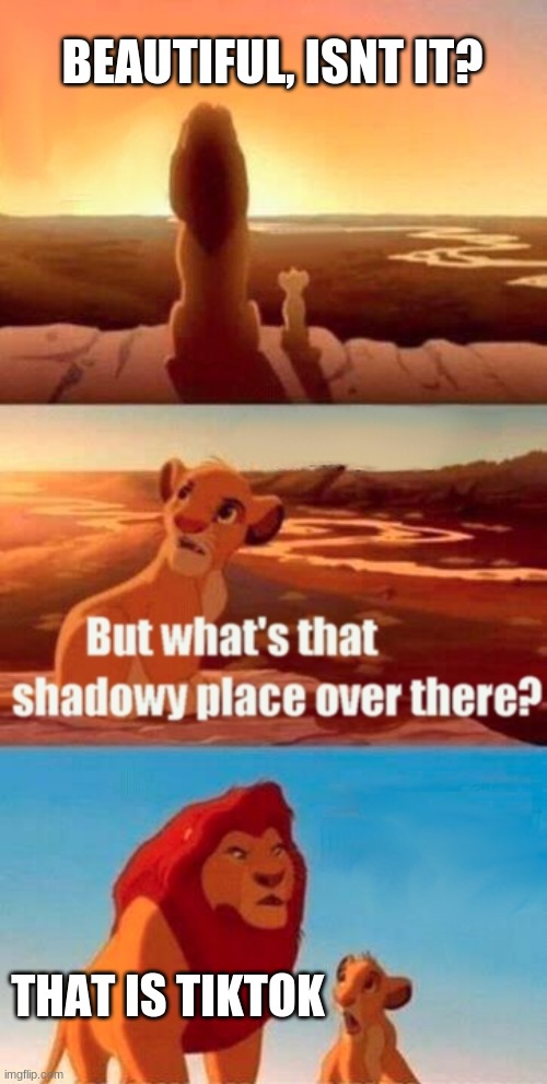 Simba Shadowy Place | BEAUTIFUL, ISNT IT? THAT IS TIKTOK | image tagged in memes,simba shadowy place | made w/ Imgflip meme maker