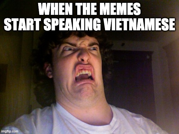 Oh No Meme | WHEN THE MEMES START SPEAKING VIETNAMESE | image tagged in memes,oh no | made w/ Imgflip meme maker