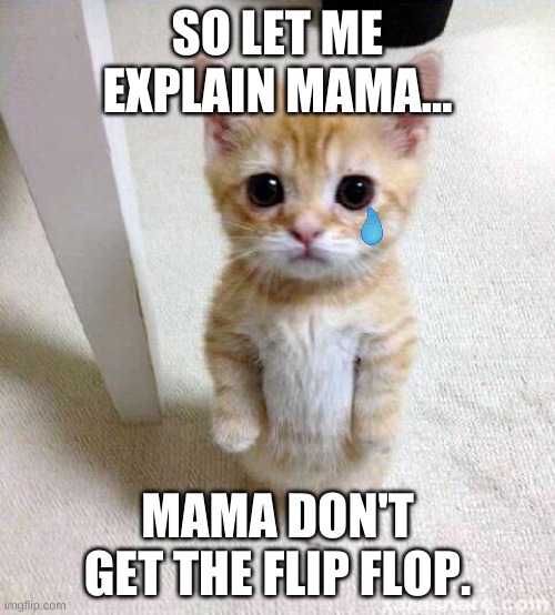 Cute Cat | SO LET ME EXPLAIN MAMA... MAMA DON'T GET THE FLIP FLOP. | image tagged in memes,cute cat | made w/ Imgflip meme maker