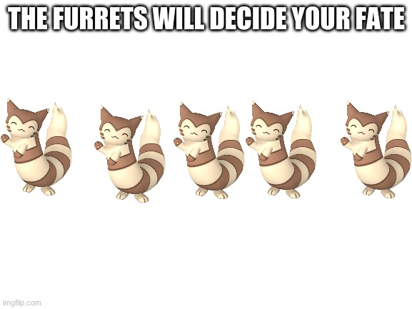 furretz | THE FURRETS WILL DECIDE YOUR FATE | image tagged in blank white template | made w/ Imgflip meme maker