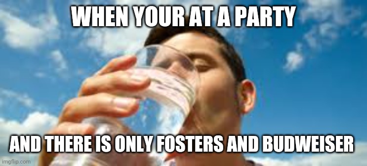 We have all been there | WHEN YOUR AT A PARTY; AND THERE IS ONLY FOSTERS AND BUDWEISER | image tagged in drinking water,memes,craft beer | made w/ Imgflip meme maker