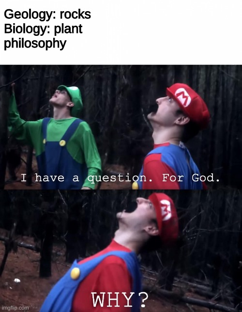 why does this exist | Geology: rocks
Biology: plant
philosophy | image tagged in i have a question for god | made w/ Imgflip meme maker