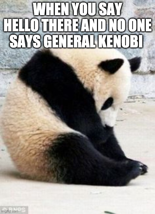 Sad Panda | WHEN YOU SAY HELLO THERE AND NO ONE SAYS GENERAL KENOBI | image tagged in sad panda | made w/ Imgflip meme maker