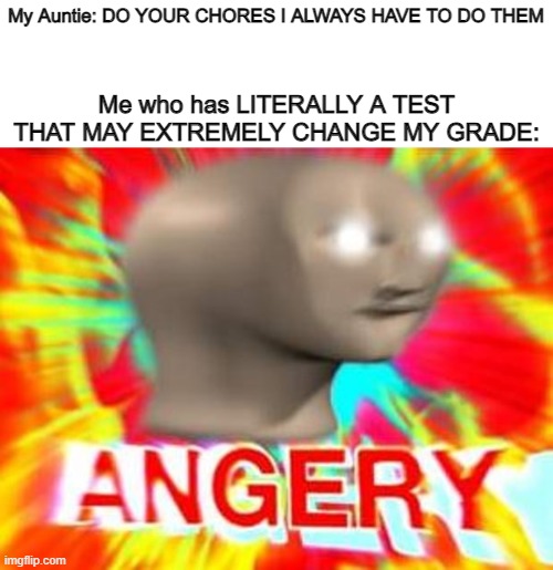 CANT YOU SEE IM BUSY RN UGHSDFSHIBGSJLDBG | My Auntie: DO YOUR CHORES I ALWAYS HAVE TO DO THEM; Me who has LITERALLY A TEST THAT MAY EXTREMELY CHANGE MY GRADE: | image tagged in surreal angery,im busy | made w/ Imgflip meme maker