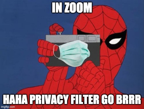 Spiderman Camera Meme | IN ZOOM HAHA PRIVACY FILTER GO BRRR | image tagged in memes,spiderman camera,spiderman | made w/ Imgflip meme maker