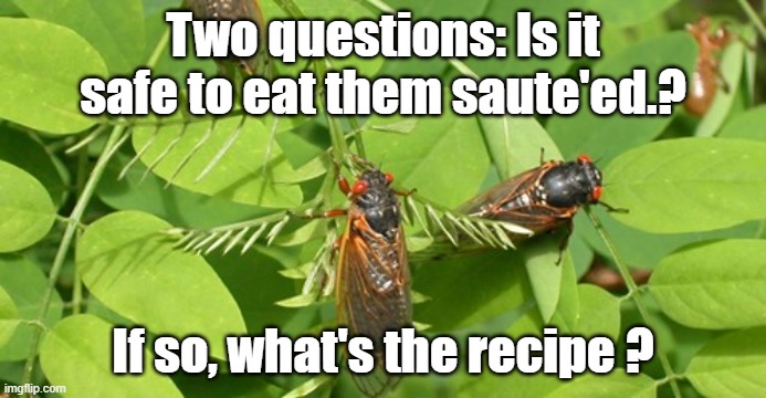 Brood X is coming Spring 2021 | Two questions: Is it safe to eat them saute'ed.? If so, what's the recipe ? | image tagged in insects,cooking | made w/ Imgflip meme maker