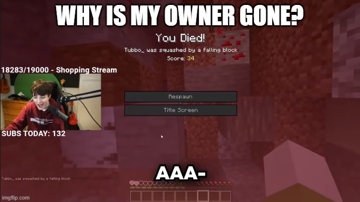 tf happened | WHY IS MY OWNER GONE? | image tagged in tubbo aaa | made w/ Imgflip meme maker