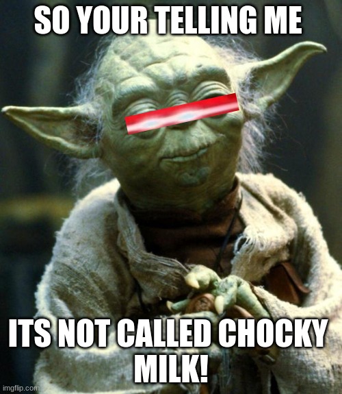 Yoda funny | SO YOUR TELLING ME; ITS NOT CALLED CHOCKY 
MILK! | image tagged in memes,star wars yoda | made w/ Imgflip meme maker