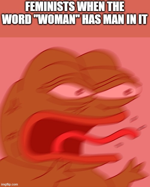 REEEEEEEEEEEEEEEEEEEEEE |  FEMINISTS WHEN THE WORD "WOMAN" HAS MAN IN IT | image tagged in reeeeeeeeeeeeeeeeeeeeee | made w/ Imgflip meme maker