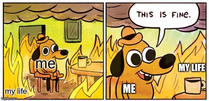 This Is Fine | me; MY LIFE; ME; my life | image tagged in memes,this is fine | made w/ Imgflip meme maker