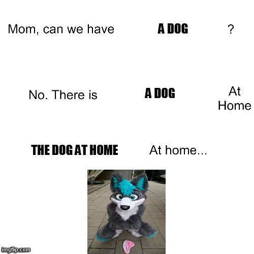 Mom can we have | A DOG; A DOG; THE DOG AT HOME | image tagged in mom can we have | made w/ Imgflip meme maker