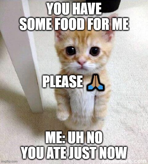 some food | YOU HAVE SOME FOOD FOR ME; PLEASE 🙏🏽; ME: UH NO YOU ATE JUST NOW | image tagged in memes,cute cat | made w/ Imgflip meme maker