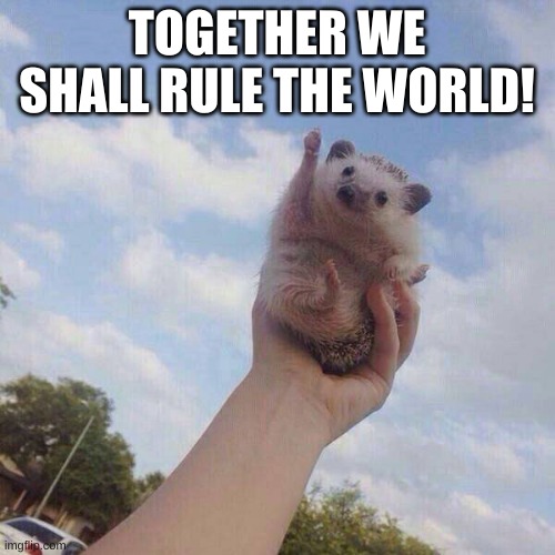 lets go | TOGETHER WE SHALL RULE THE WORLD! | image tagged in lets go | made w/ Imgflip meme maker
