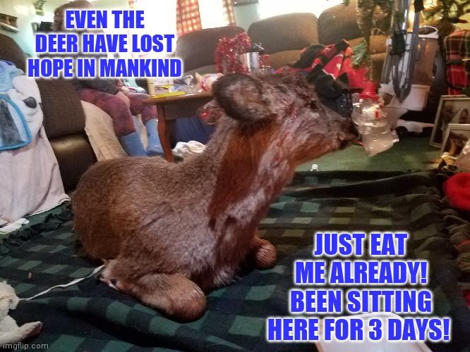 Animals give up hope | EVEN THE DEER HAVE LOST HOPE IN MANKIND; JUST EAT ME ALREADY! BEEN SITTING HERE FOR 3 DAYS! | image tagged in whitetail deer,unwanted house guest | made w/ Imgflip meme maker