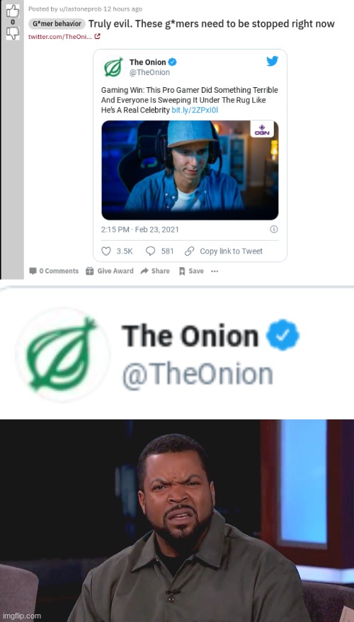 bruh (the onion posts fake news articles that are supposed to be jokes but this idiot took it seriously) | image tagged in really ice cube | made w/ Imgflip meme maker