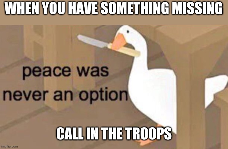Untitled Goose Peace Was Never an Option | WHEN YOU HAVE SOMETHING MISSING; CALL IN THE TROOPS | image tagged in untitled goose peace was never an option | made w/ Imgflip meme maker