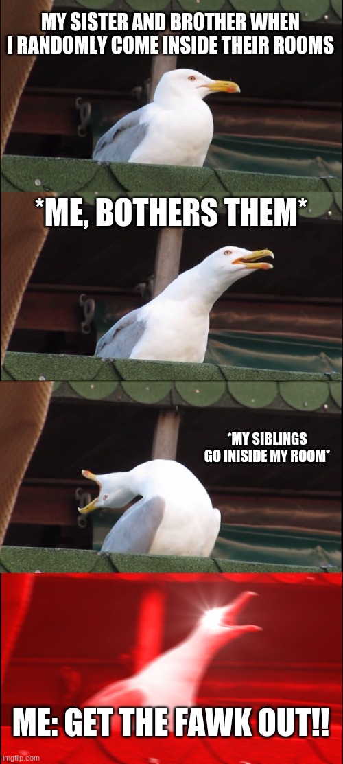 im not going to deny this :) | MY SISTER AND BROTHER WHEN I RANDOMLY COME INSIDE THEIR ROOMS; *ME, BOTHERS THEM*; *MY SIBLINGS GO INISIDE MY ROOM*; ME: GET THE FAWK OUT!! | image tagged in memes,inhaling seagull,oldest child,rooms,siblings | made w/ Imgflip meme maker