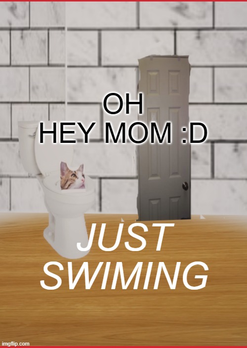 Naughty fur ball | OH HEY MOM :D; JUST SWIMING | image tagged in funny memes | made w/ Imgflip meme maker